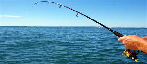 The Beginners guide to fishing from the shore, pier, beach or .